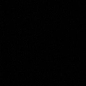 Meet your Posher, Lauryn